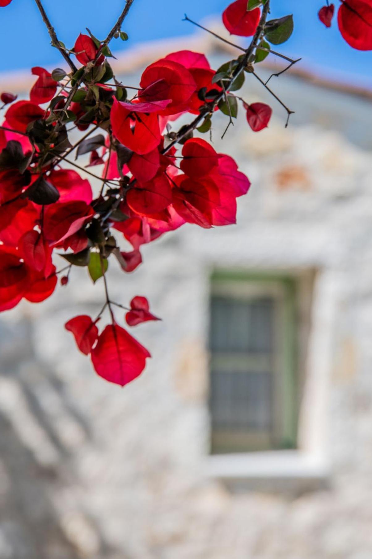 Teacher'S House Spartokhórion Dış mekan fotoğraf